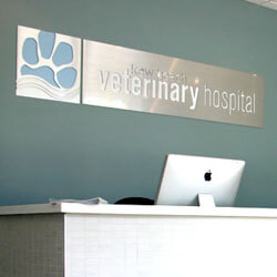 Testimonial from Kew Beach Veterinary Hospital